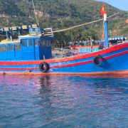 Fishing Tour Vinh Hy